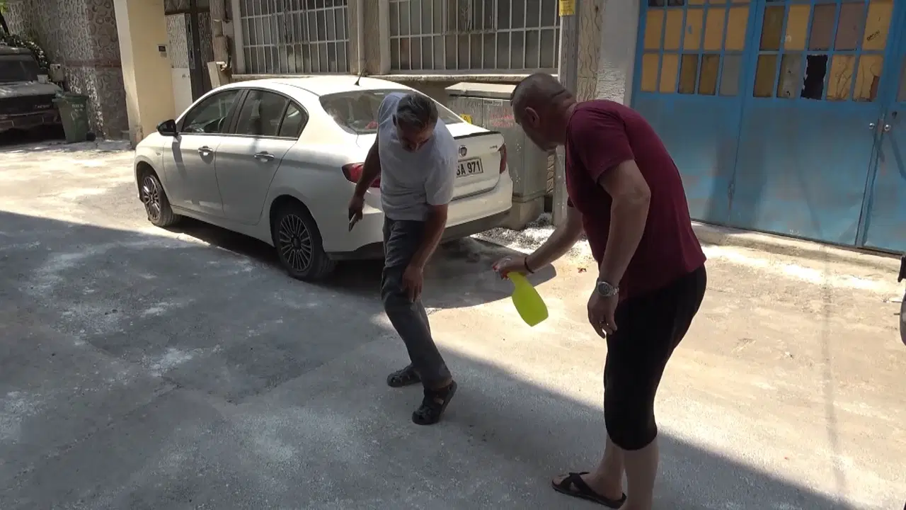 Pireler sokağı istila etti: Lavanta yağıyla korunmaya çalışıyorlar